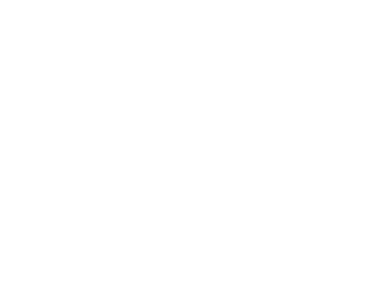 Logo Bienviso blanc